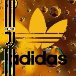 Meet your Posher, Darwin